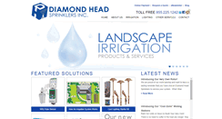 Desktop Screenshot of diamondheadinc.com
